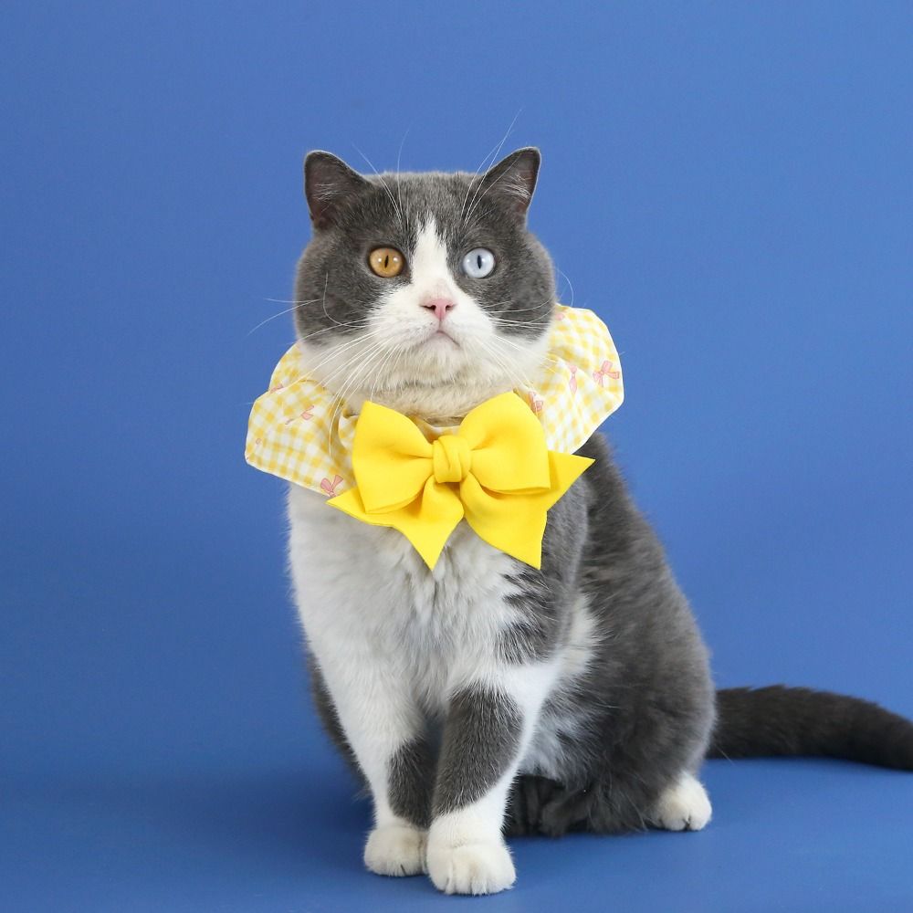 Plaid Lace Fabric Puppy Necklace Cosplay Dog Neckerchief Cats Plaid Collar Pet Party Supplies S синий
Plaid Lace Fabric Puppy Necklace Cosplay Dog Neckerchief Cats Plaid Collar Pet Party Supplies S синий