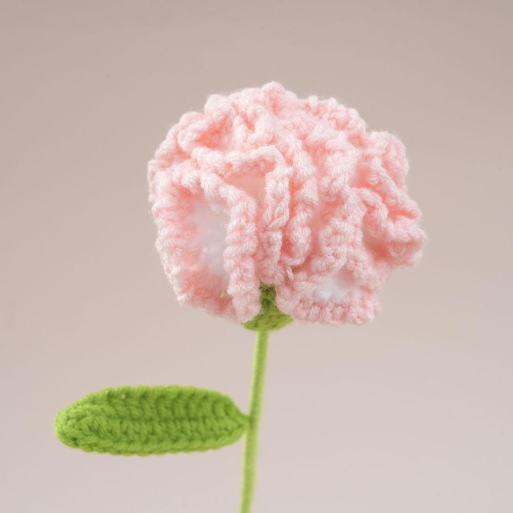 Creative Wool Carnation Bouquet Hand Crocheted Colorful Handmade Bouquet Crocheted Flower Girlfriends
Creative Wool Carnation Bouquet Hand Crocheted Colorful Handmade Bouquet Crocheted Flower Girlfriends