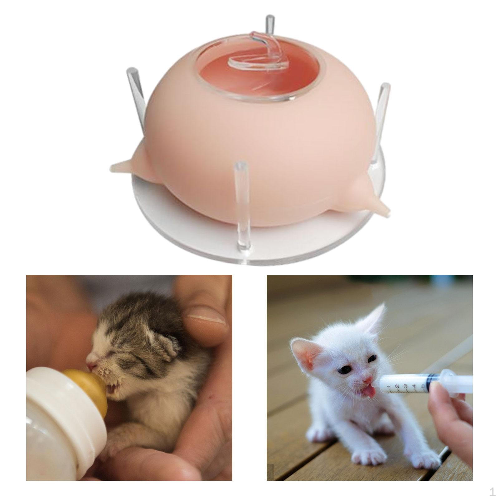 Dogs Pet Feeder Self and Feeding Device Milk Bowl Whelping Nursing Station Puppy розовый
Dogs Pet Feeder Self and Feeding Device Milk Bowl Whelping Nursing Station Puppy розовый