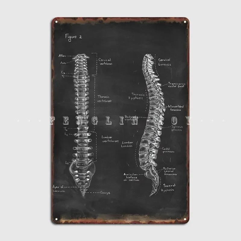 Анатомия позвоночника Металлическая табличка Мел Кино Кухня Кино Ретро Роспись Мурал Жестяная табличка Постер 20x30cm(7.8x11.8inch)
Анатомия позвоночника Металлическая табличка Мел Кино Кухня Кино Ретро Роспись Мурал Жестяная табличка Постер 20x30cm(7.8x11.8inch)