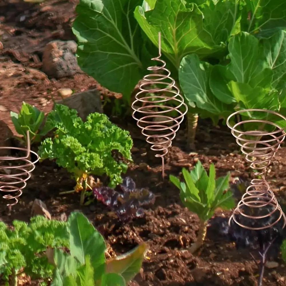 Reusable Cone Fibonacci Coil Winding Jig Gardening Wire Fixture Enhance Plant Growth and Vitality Style 1
Reusable Cone Fibonacci Coil Winding Jig Gardening Wire Fixture Enhance Plant Growth and Vitality Style 1