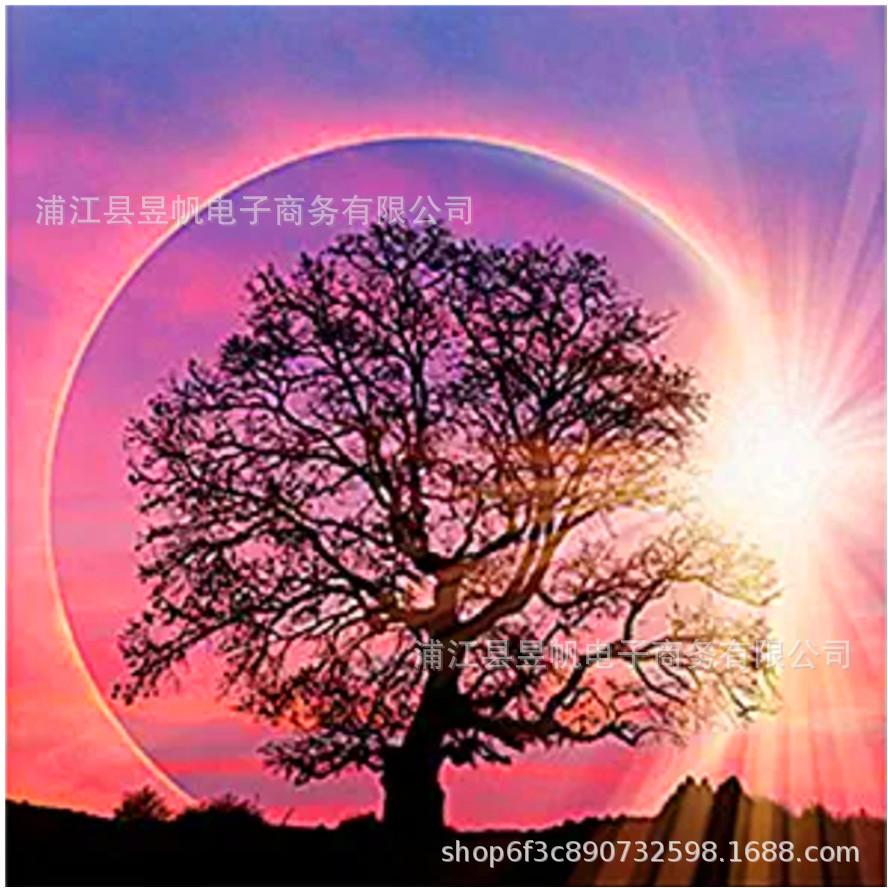 DIY 5D Полный Круглый Дрель Алмазная Картина Вышивка Крестом Комплект Главная Стена Декор Ремесло
DIY 5D Полный Круглый Дрель Алмазная Картина Вышивка Крестом Комплект Главная Стена Декор Ремесло