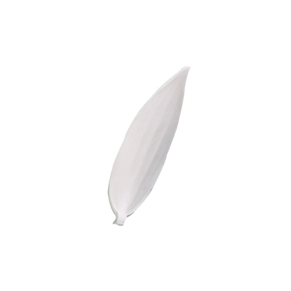 Leaf Silicone Molds DIY Clay Fondant Cake Decorating Tools Mould Sugarcraft Chocolate Gumpaste Home Decoration
Leaf Silicone Molds DIY Clay Fondant Cake Decorating Tools Mould Sugarcraft Chocolate Gumpaste Home Decoration