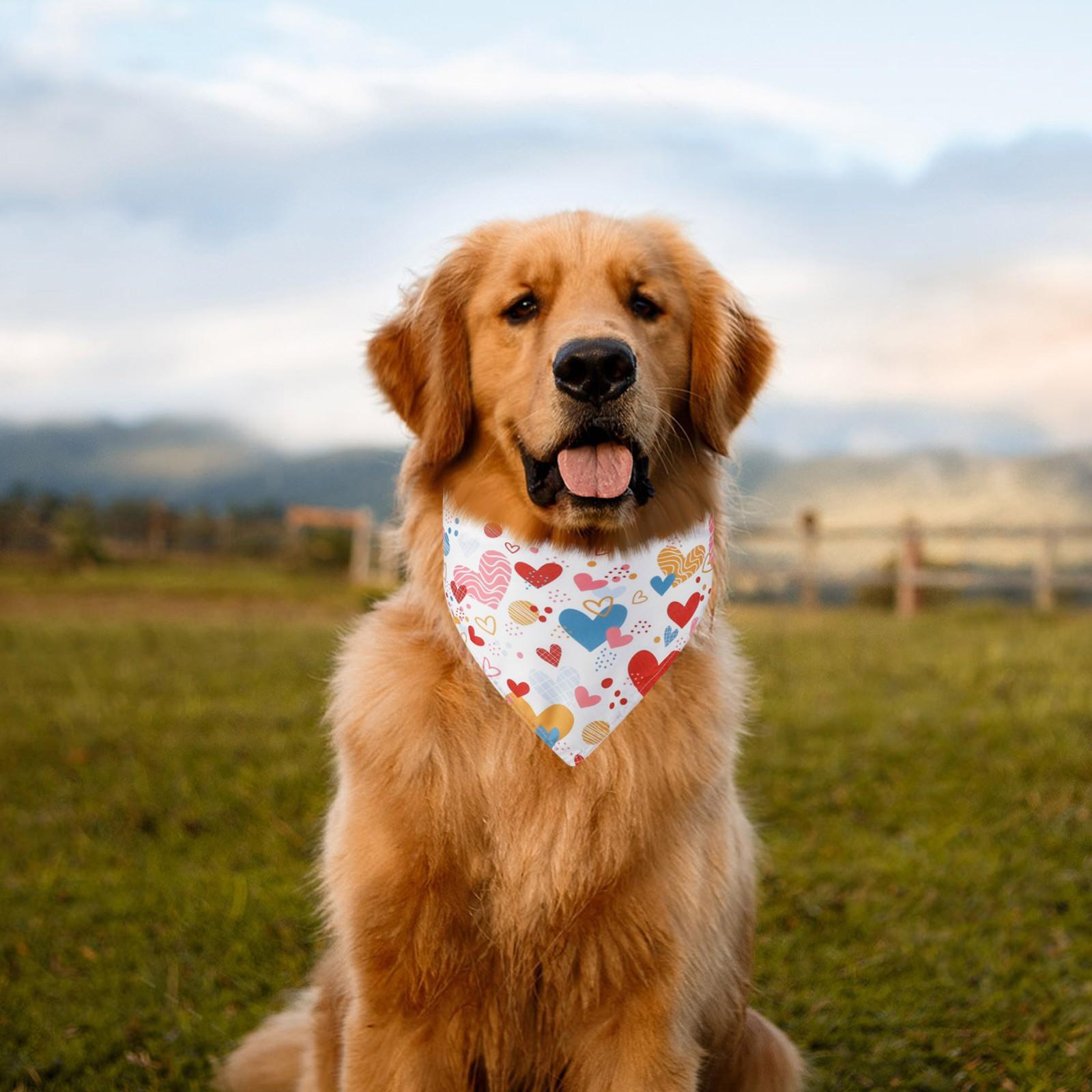 День святого Валентина Одежда для домашних животных Шарф для воды Love Pet Шарф для собак Аксессуары для домашних животных Шарф для собак One Size
День святого Валентина Одежда для домашних животных Шарф для воды Love Pet Шарф для собак Аксессуары для домашних животных Шарф для собак One Size