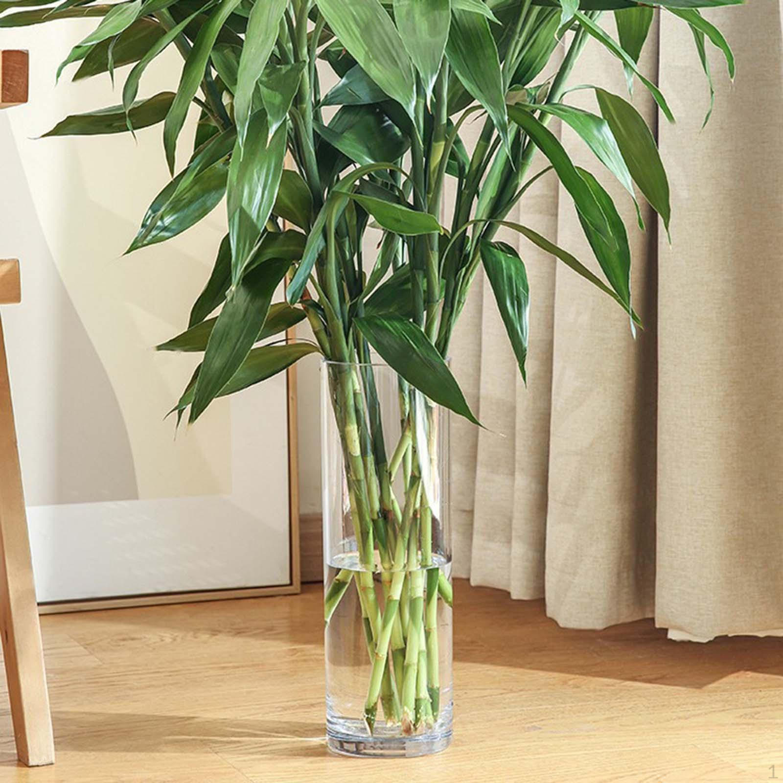 Flower Vase Acrylic Cylinder Table Centerpiece Modern Decorative for Desk Wedding Centerpieces
Flower Vase Acrylic Cylinder Table Centerpiece Modern Decorative for Desk Wedding Centerpieces