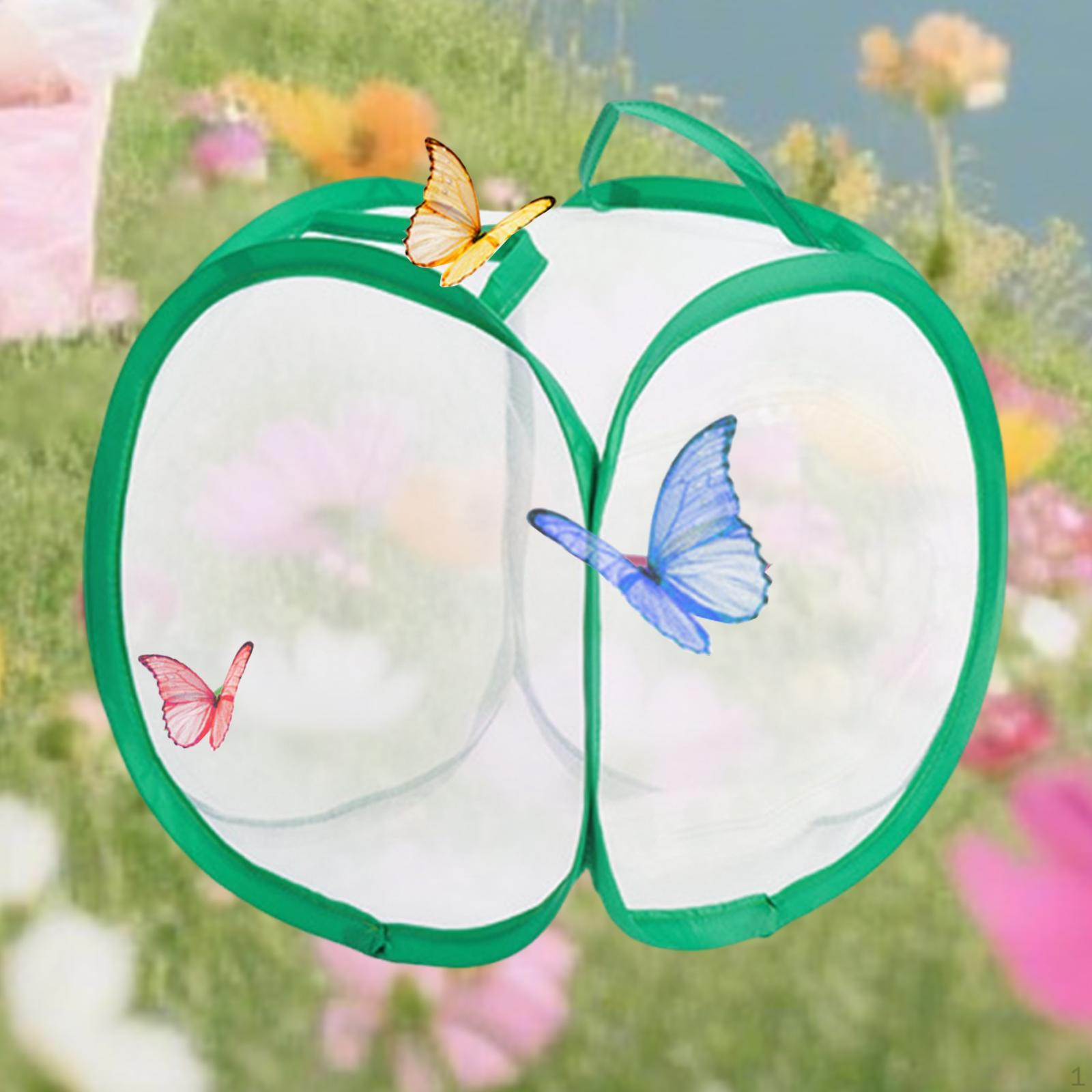 Клетка для ловли бабочек, Ящик для выращивания рассады для Открытого сада, Заднего двора S
Клетка для ловли бабочек, Ящик для выращивания рассады для Открытого сада, Заднего двора S