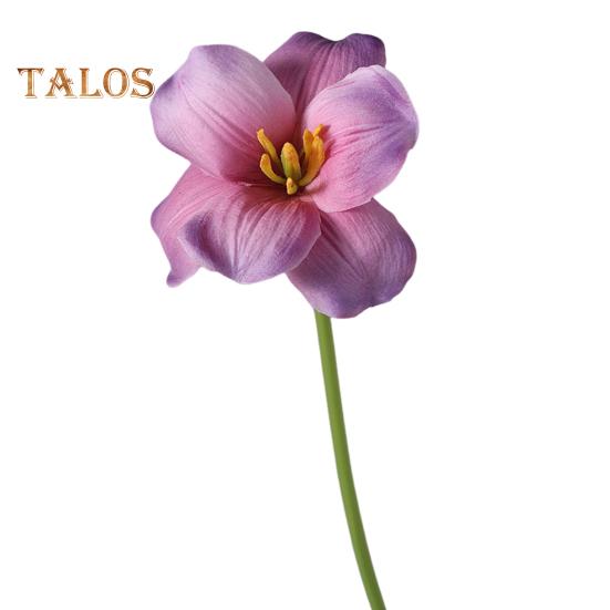 Букет из искусственных тюльпанов Реалистичные лепестки из искусственной кожи с эффектом увядания, гибкие стебли, не требующие ухода, поддельные тюльпаны для домашнего декора темно-фиолетового
Букет из искусственных тюльпанов Реалистичные лепестки из искусственной кожи с эффектом увядания, гибкие стебли, не требующие ухода, поддельные тюльпаны для домашнего декора темно-фиолетового