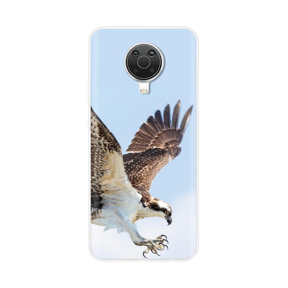 Phone Case For Nokia G20 G10 Case Soft TPU Back Cover For Nokia C20 C30 G20 G30 Cases Silicone Bumper Coque Shockproof Bag Cover Nokia G10
Phone Case For Nokia G20 G10 Case Soft TPU Back Cover For Nokia C20 C30 G20 G30 Cases Silicone Bumper Coque Shockproof Bag Cover Nokia G10