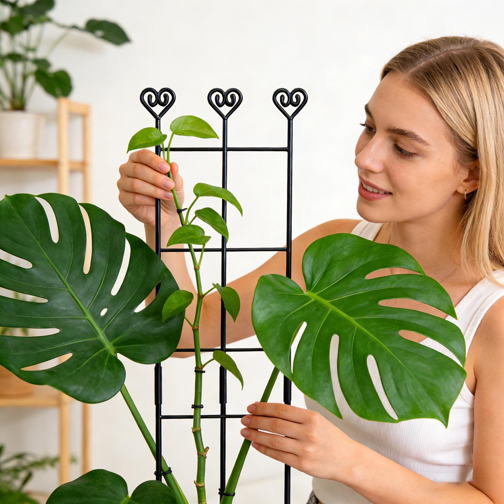 Plant Trellis Metal Adjustable Pole 32.6inches Trellis For Climbing Plants Indoor For Pothos Ivy Clematis Philodendron Balcony China Mainland
Plant Trellis Metal Adjustable Pole 32.6inches Trellis For Climbing Plants Indoor For Pothos Ivy Clematis Philodendron Balcony China Mainland