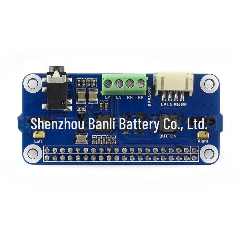 WM8960 Audio Decoding Expansion Board for Raspberry Pi - I2S Interface, Low Power Consumption
WM8960 Audio Decoding Expansion Board for Raspberry Pi - I2S Interface, Low Power Consumption