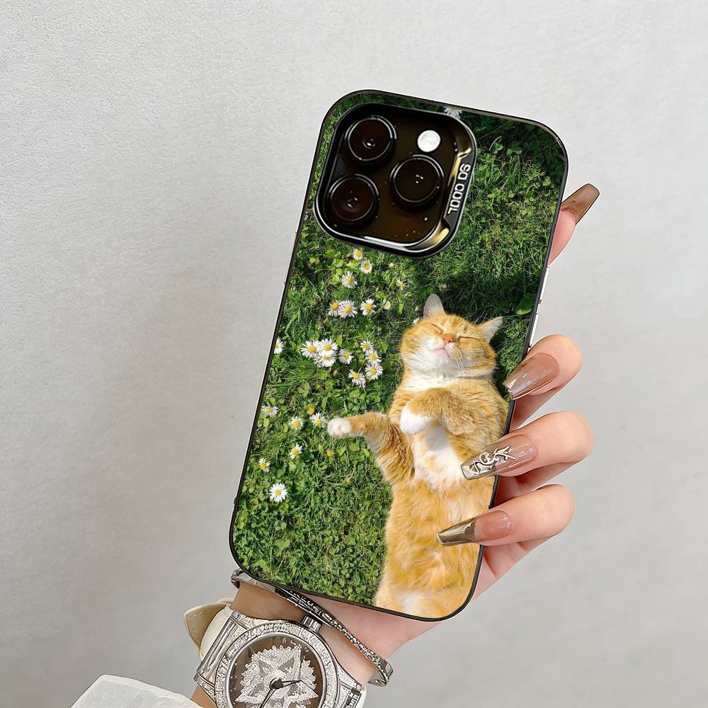 Cat Phone Case For iPhone 17,16,15,14,13,12,11 Plus,Pro Max,XS,Colorful Silver Phone case Funda Cover iPhone13Pro
Cat Phone Case For iPhone 17,16,15,14,13,12,11 Plus,Pro Max,XS,Colorful Silver Phone case Funda Cover iPhone13Pro