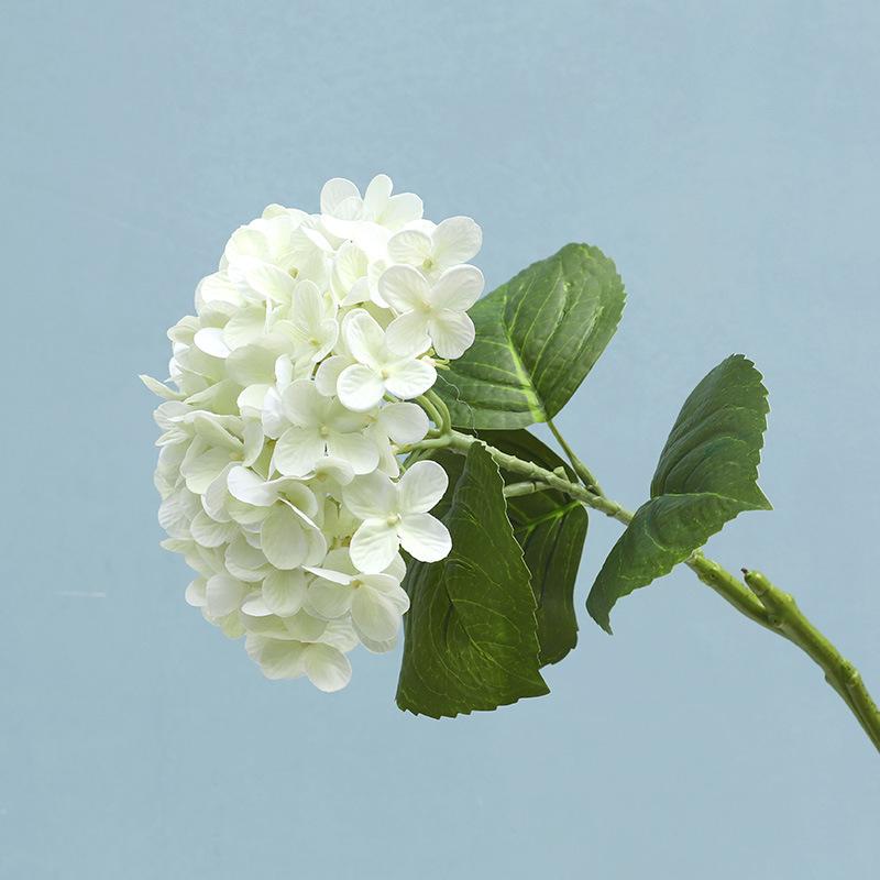 Long feel moisturizing French hydrangea simulated flower photography props home decoration ornament fake flower
Long feel moisturizing French hydrangea simulated flower photography props home decoration ornament fake flower