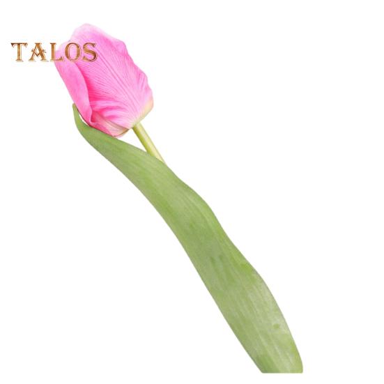 Имитация тюльпана 37 см. Искусственный тюльпан. Искусственный шелк. Поддельный тюльпан. Цветок оптом для вазы. Свадебный декор для дома. Весенние вечеринки. Подарок на День матери. горячий розовый
Имитация тюльпана 37 см. Искусственный тюльпан. Искусственный шелк. Поддельный тюльпан. Цветок оптом для вазы. Свадебный декор для дома. Весенние вечеринки. Подарок на День матери. горячий розовый