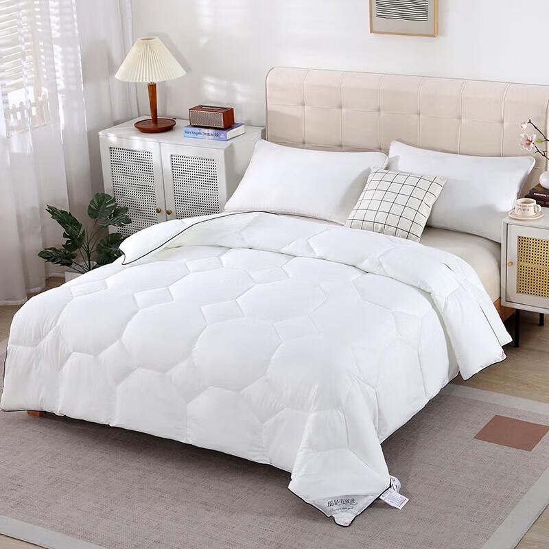 Premium 60-Count Twill Polyester Winter Quilt
Premium 60-Count Twill Polyester Winter Quilt