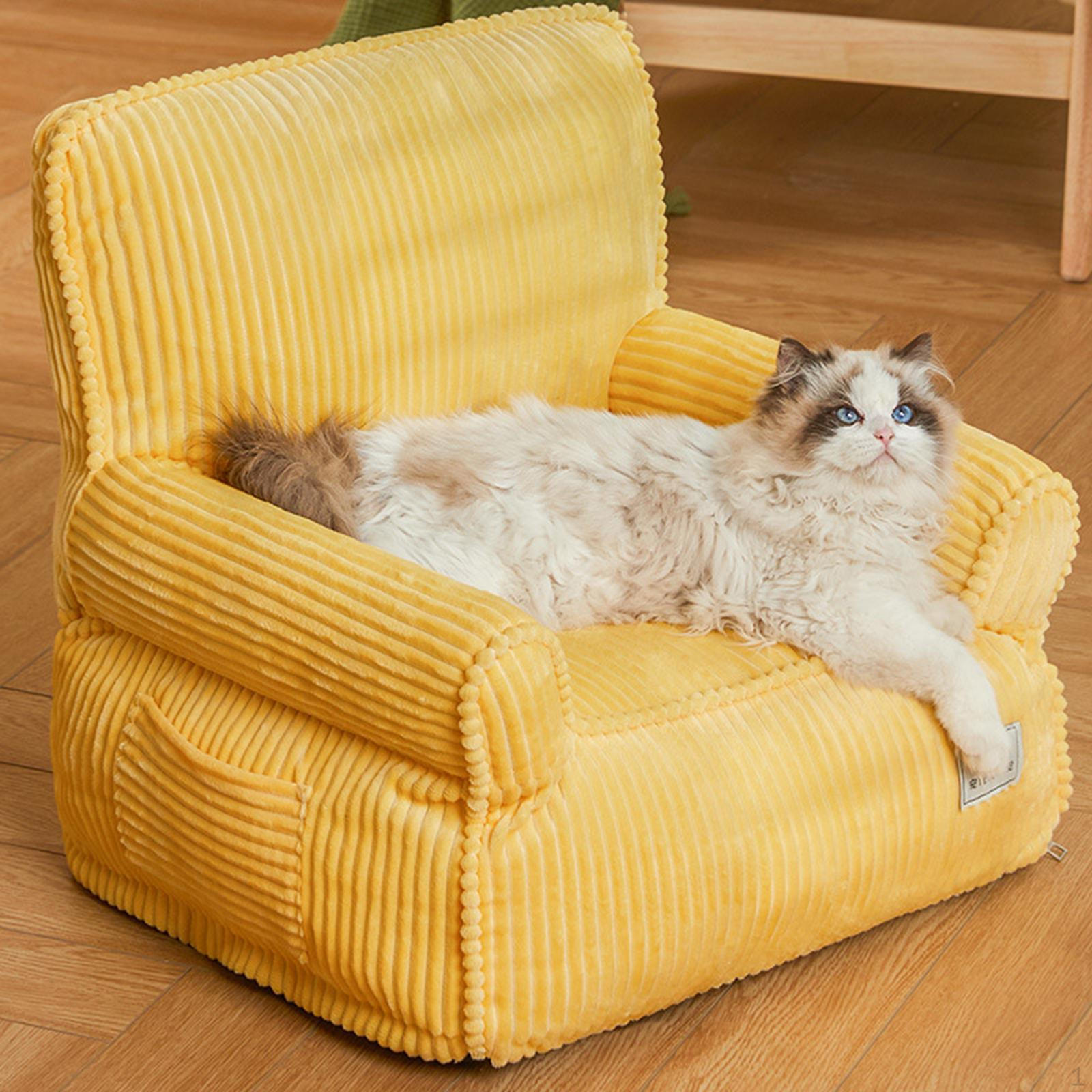 Диван для кошек, диван для домашних кошек, модный съемный чехол 47x47x49 см, удобный портативный
Диван для кошек, диван для домашних кошек, модный съемный чехол 47x47x49 см, удобный портативный