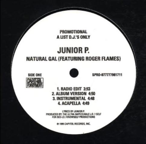 12inch Record JUNIOR P. - Natural Gal / Good Body Gal SPRO07777796171 Capitol Records 1995 US Reggae, Ska & Dub Used
12inch Record JUNIOR P. - Natural Gal / Good Body Gal SPRO07777796171 Capitol Records 1995 US Reggae, Ska & Dub Used