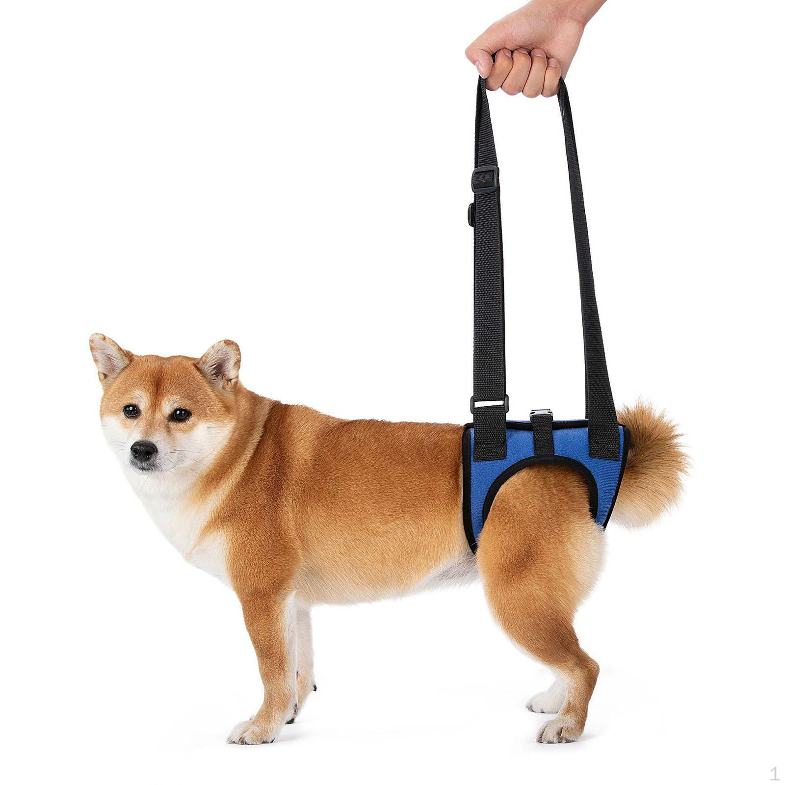 Вспомогательный ремень для переноски собак, регулируемый поддерживающий ремень, комфортный дизайн M
Вспомогательный ремень для переноски собак, регулируемый поддерживающий ремень, комфортный дизайн M
