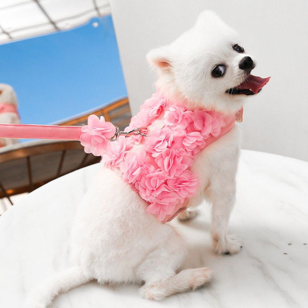 Terrier Chihuahua Small Medium Dogs Cats Dog Harness Puppy Clothes Vest Leash Suit Cat Leads L розовый
Terrier Chihuahua Small Medium Dogs Cats Dog Harness Puppy Clothes Vest Leash Suit Cat Leads L розовый
