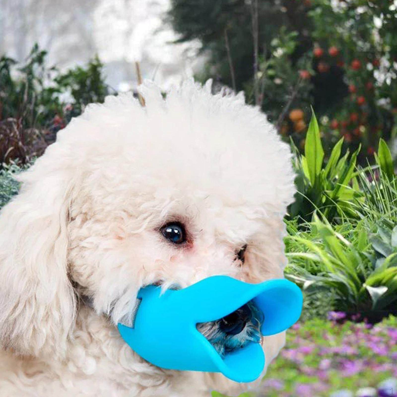 Dog Mouth Cover Prevents Biting, Comfortable for Small And Medium Dogs, Breathable, Allows Panting M
Dog Mouth Cover Prevents Biting, Comfortable for Small And Medium Dogs, Breathable, Allows Panting M