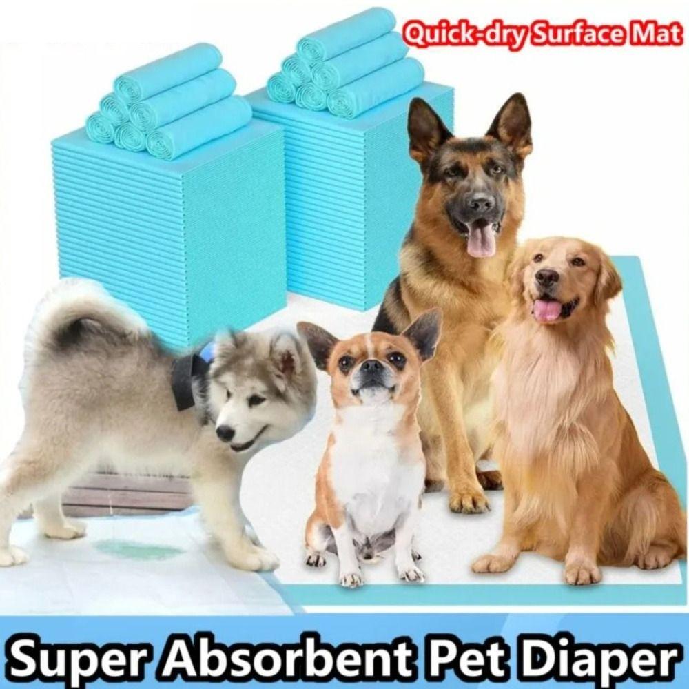 10Pcs Super Absorbent Pet Diapers Leak-Proof Puppy Training Pee Pads Dog Nappy Mat Cage Mat 60x60cm
10Pcs Super Absorbent Pet Diapers Leak-Proof Puppy Training Pee Pads Dog Nappy Mat Cage Mat 60x60cm