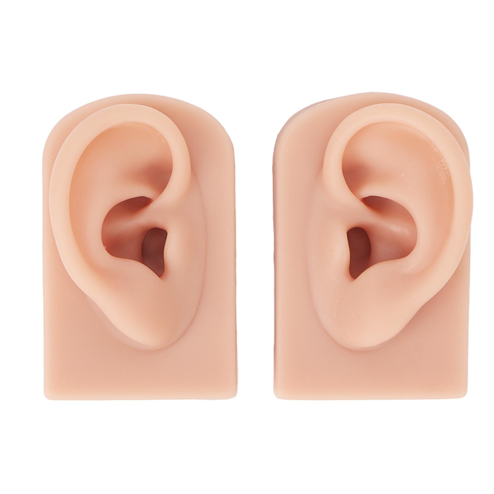1 Pair Silicone Ear Model Flexible Soft Reusable Simulated Human Skin Silicone Piercing Model Flexible Ear Model Soft Ear Model
1 Pair Silicone Ear Model Flexible Soft Reusable Simulated Human Skin Silicone Piercing Model Flexible Ear Model Soft Ear Model