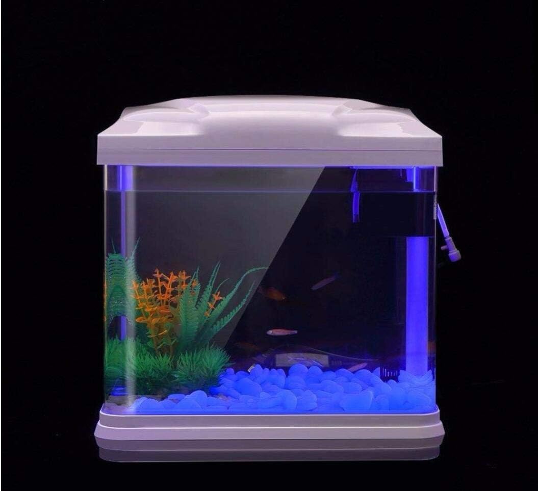Fish Tank Rocks Glow Blue Pebbles for Garden Fish Tank Aquarium Plant Pots Bonsai Walkway Driveway
Fish Tank Rocks Glow Blue Pebbles for Garden Fish Tank Aquarium Plant Pots Bonsai Walkway Driveway