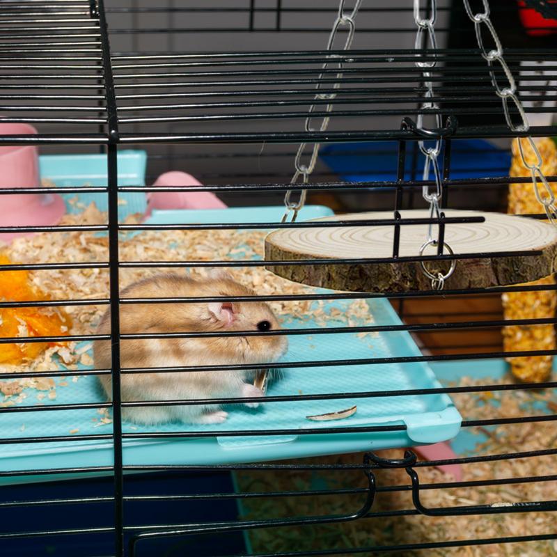 Pet Hamster Swing Wood Hammock Bed For Climbing Small Animal Warm Bed House Cage Nest Hamster Accessories For Rabbits China Mainland
Pet Hamster Swing Wood Hammock Bed For Climbing Small Animal Warm Bed House Cage Nest Hamster Accessories For Rabbits China Mainland