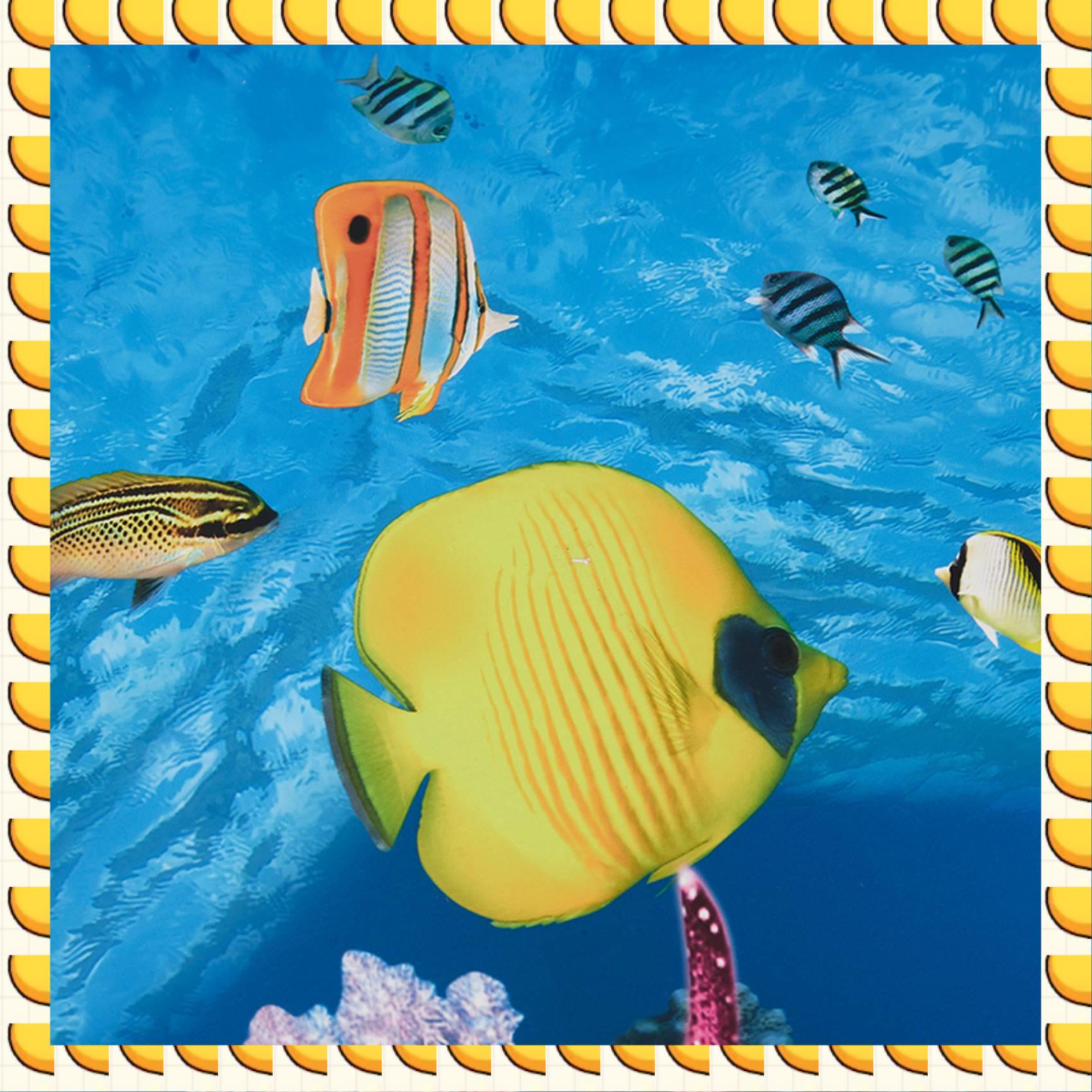 BAAU Aquarium Background Paper HD Picture 7D Three-Dimensional Fish Tank Wallpaper Background Painting Double Sided Aquarium Dec
BAAU Aquarium Background Paper HD Picture 7D Three-Dimensional Fish Tank Wallpaper Background Painting Double Sided Aquarium Dec