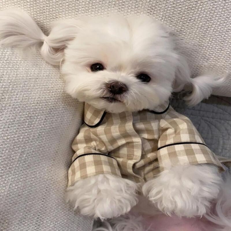 Roll-up check pajamas, sleepwear, dog clothes beige
Roll-up check pajamas, sleepwear, dog clothes beige