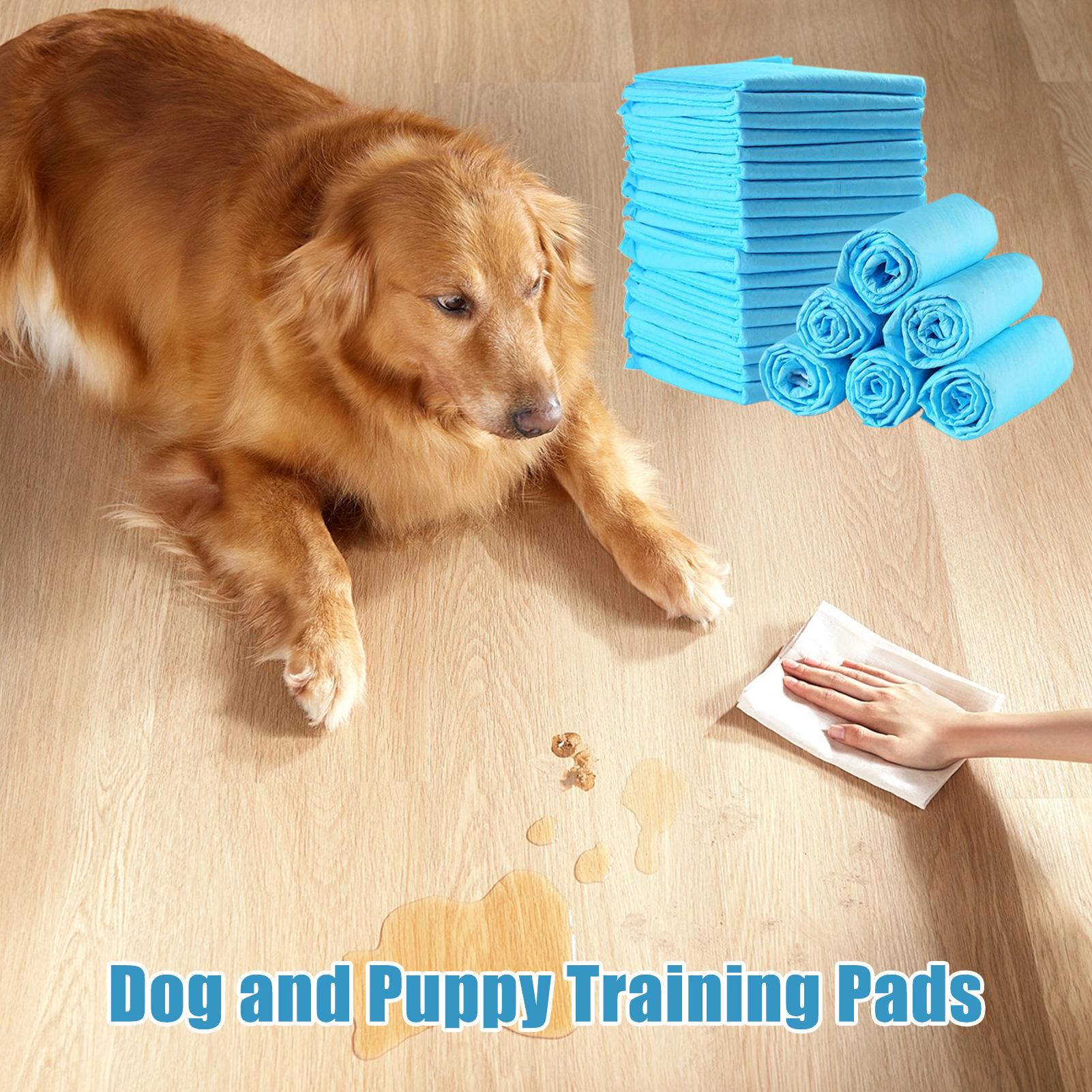 Puppy Pads Pet Pee Pads 100-Count Quick-Dry Surfaces Ultra Absorbent Potty Training Housebreaking Pet Supplies For Cats Kittens China Mainland
Puppy Pads Pet Pee Pads 100-Count Quick-Dry Surfaces Ultra Absorbent Potty Training Housebreaking Pet Supplies For Cats Kittens China Mainland