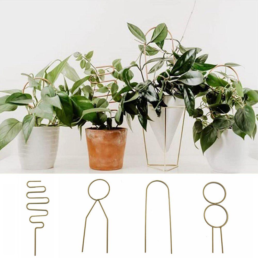 DIY стойка для виноградной лозы, цветы, овощи, рама для скалолазания, опора для растений, крепежный стержень, держатель для скалолазания
DIY стойка для виноградной лозы, цветы, овощи, рама для скалолазания, опора для растений, крепежный стержень, держатель для скалолазания