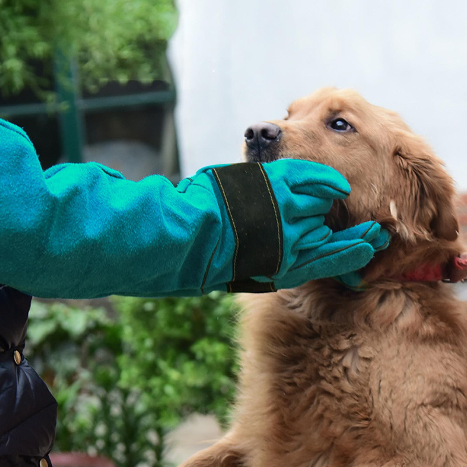 Anti-Bite Leather Gloves Anti-Bite And Scratch-Resistant Dog Training Gloves Durable And Waterproof Pet Bathing Feeding Training
Anti-Bite Leather Gloves Anti-Bite And Scratch-Resistant Dog Training Gloves Durable And Waterproof Pet Bathing Feeding Training