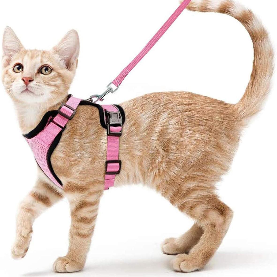 Escape Proof Cat Harness and Leash - Soft Adjustable Vest Harnesses EasyControl for Walking Cats MXQQY01 S-(4-7.5KG) рожевий
Escape Proof Cat Harness and Leash - Soft Adjustable Vest Harnesses EasyControl for Walking Cats MXQQY01 S-(4-7.5KG) рожевий