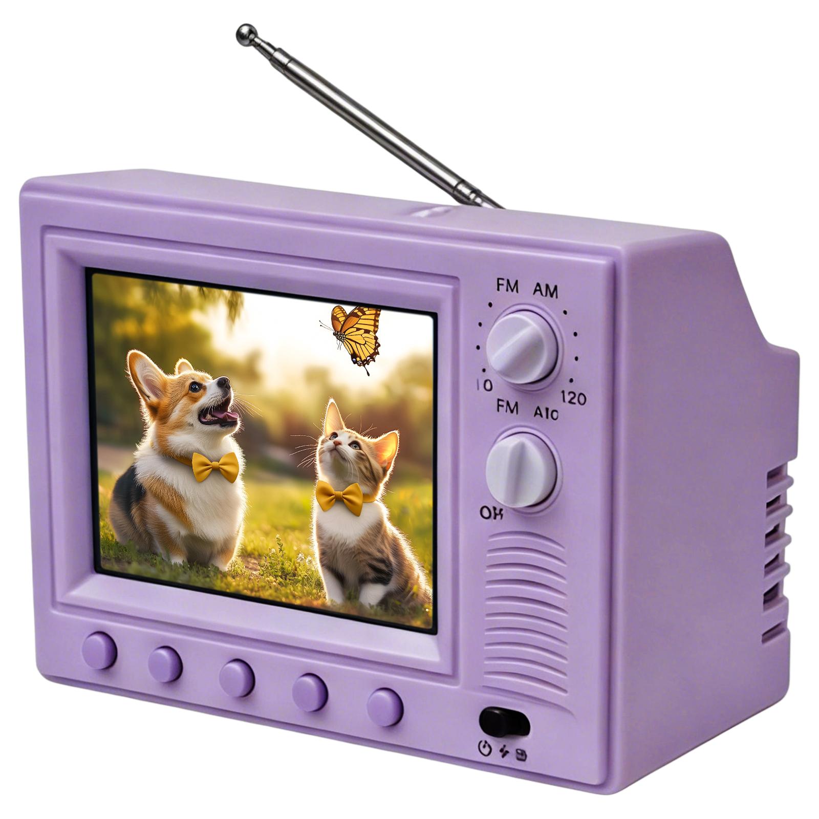 1:12 Scale Classics TVs with 8GB Storage Simulated Television Furniture Support External USB for Dollhouse Miniature Scenes Gift фиолетовый
1:12 Scale Classics TVs with 8GB Storage Simulated Television Furniture Support External USB for Dollhouse Miniature Scenes Gift фиолетовый