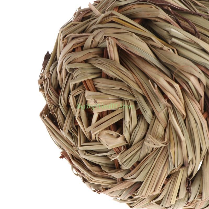 24TE Finch Canary Cage Perch Stand Nest Cage Parrot Nest Cage Hand Woven China Mainland
24TE Finch Canary Cage Perch Stand Nest Cage Parrot Nest Cage Hand Woven China Mainland