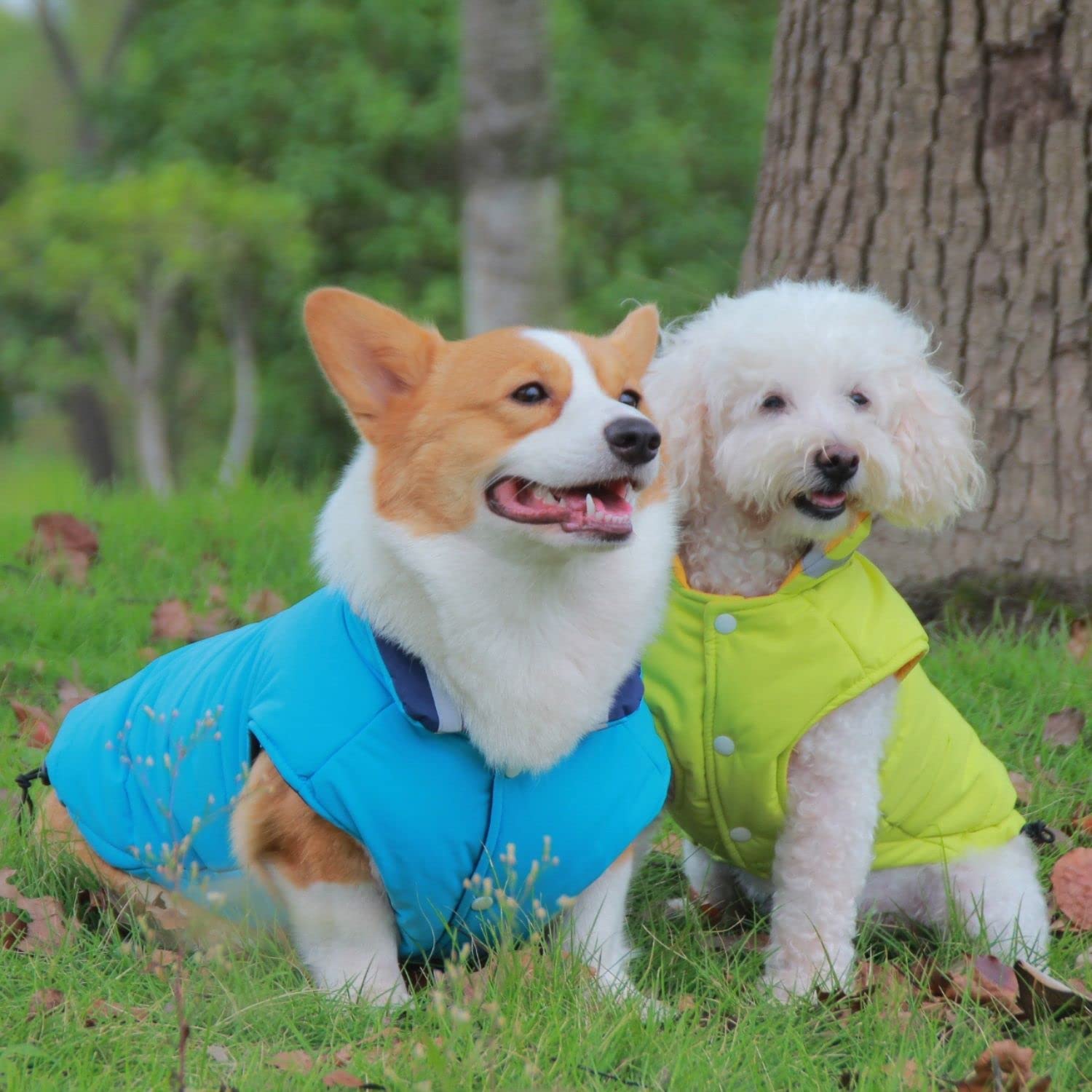 LIKOKLIN Dog Cotton Down Pet Cold Dog Small и со светоотражающими элементами Cold Snow Можно носить как в холодную погоду, так и в теплую погоду Для прогулок Синий
LIKOKLIN Dog Cotton Down Pet Cold Dog Small и со светоотражающими элементами Cold Snow Можно носить как в холодную погоду, так и в теплую погоду Для прогулок Синий