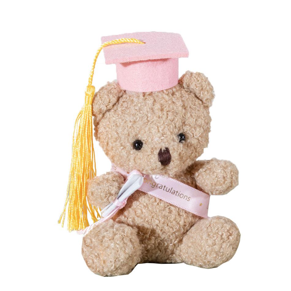 1/10Pcs 12Cm Doctor Bear Plush Plaything Graduation Stuffed Animal Doll With Cap And Gown Cute Student Graduation Educational Present 13-14cm
1/10Pcs 12Cm Doctor Bear Plush Plaything Graduation Stuffed Animal Doll With Cap And Gown Cute Student Graduation Educational Present 13-14cm