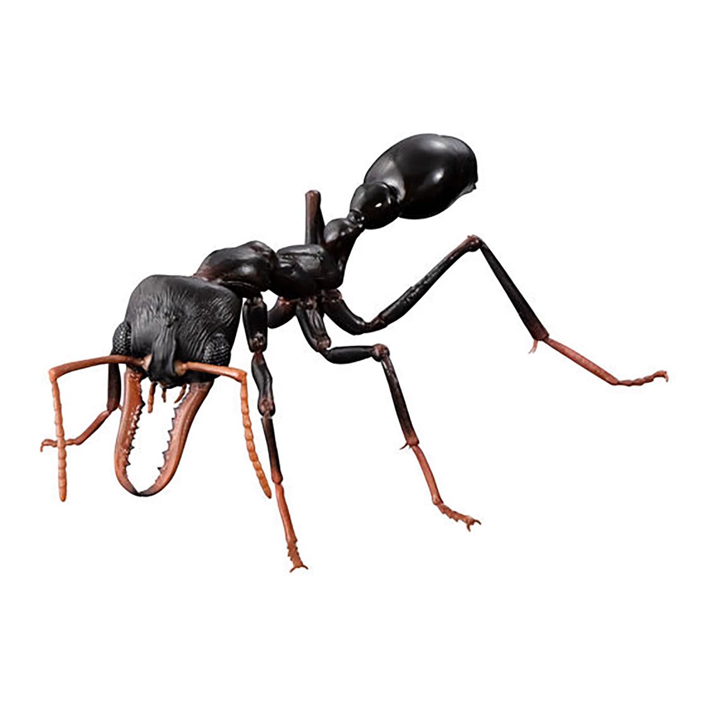Simulation Insect Realistic Wasp Myrmecia Bulldog Ant Premium Lifelike Collectible Model For Hobby Enthusiasts
Simulation Insect Realistic Wasp Myrmecia Bulldog Ant Premium Lifelike Collectible Model For Hobby Enthusiasts