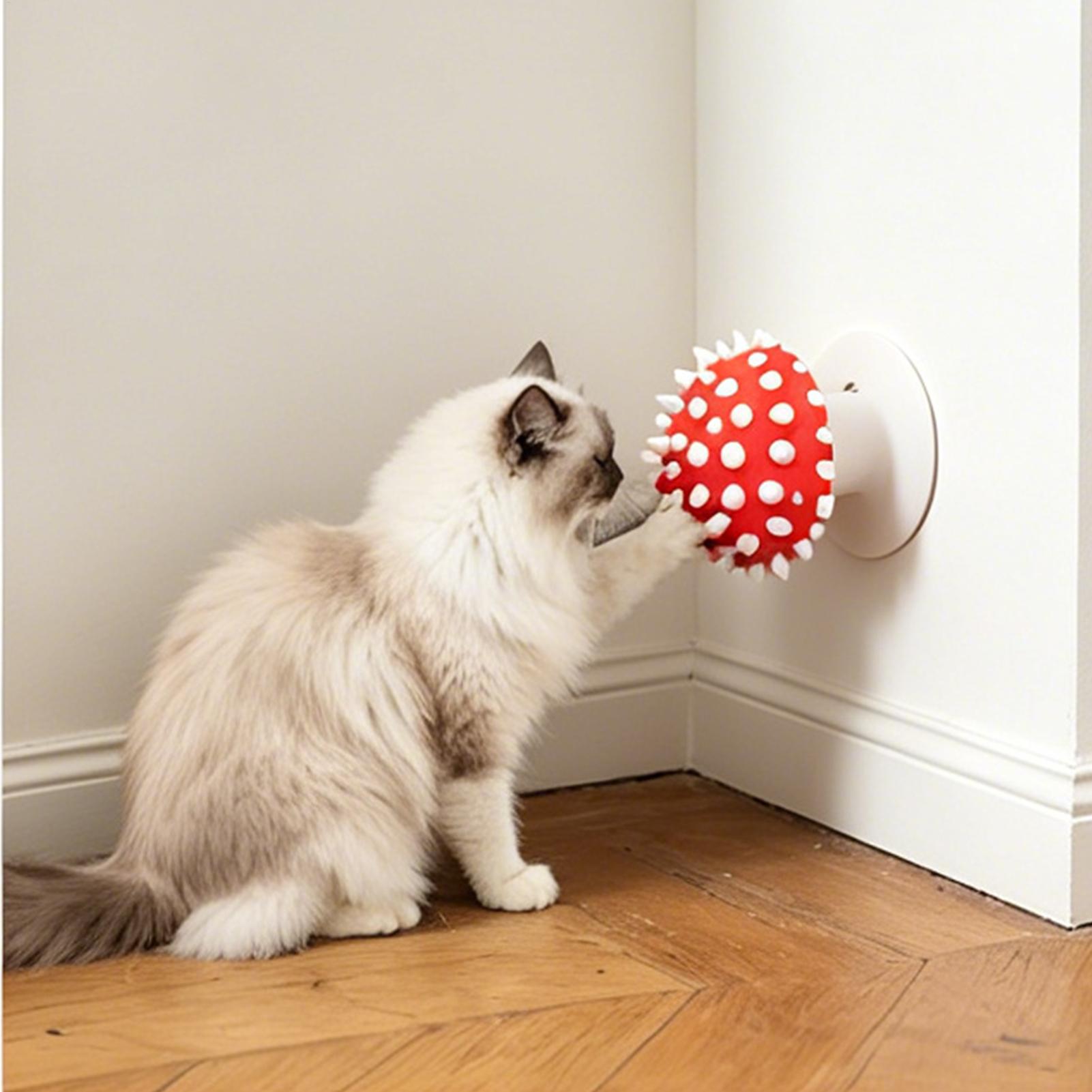 Cat Self Groomer Space Saving Mushroom Comb Grooming Massage Combs For Daily Brushing Short-Hair Puppy Kitten Pet Spa Indoor China Mainland
Cat Self Groomer Space Saving Mushroom Comb Grooming Massage Combs For Daily Brushing Short-Hair Puppy Kitten Pet Spa Indoor China Mainland