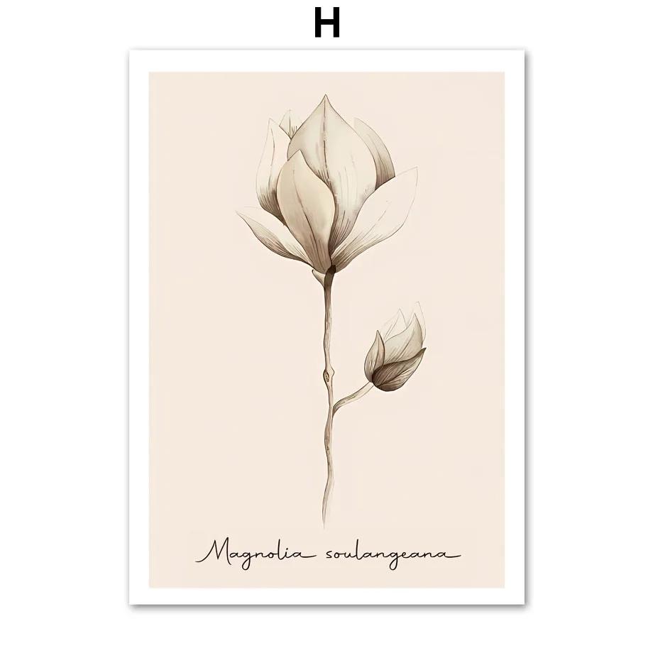 Бохо бежевый одуванчик растение цветок минимализм плакат эстетика принты настенная живопись на холсте галерея гостиная домашний декор 30x40cm No Framed
Бохо бежевый одуванчик растение цветок минимализм плакат эстетика принты настенная живопись на холсте галерея гостиная домашний декор 30x40cm No Framed