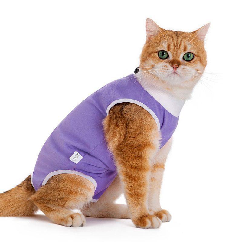 Cat Spaying Suit After Surgery - Anti-scratching Breathable Cartoon-style All-season Female Cat Surgical Gown L
Cat Spaying Suit After Surgery - Anti-scratching Breathable Cartoon-style All-season Female Cat Surgical Gown L