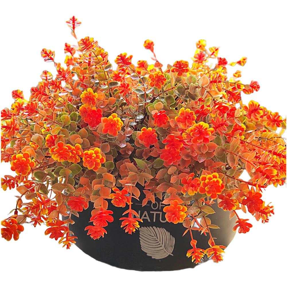 7 Head Artificial Eucalyptus Camellia Daisy Plastic Flowers For Home Decor Photography Props Autumn Seasonal Display Arrangement
7 Head Artificial Eucalyptus Camellia Daisy Plastic Flowers For Home Decor Photography Props Autumn Seasonal Display Arrangement