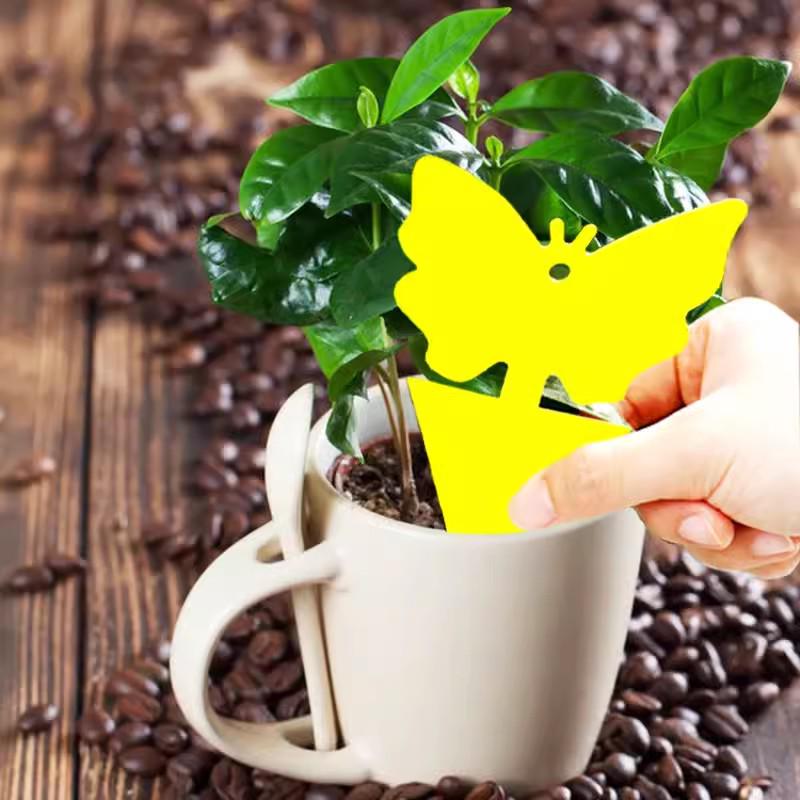 Butterfly-Shaped Double-Sided Insect Trap Sticker for Flies and Mosquitoes
Butterfly-Shaped Double-Sided Insect Trap Sticker for Flies and Mosquitoes