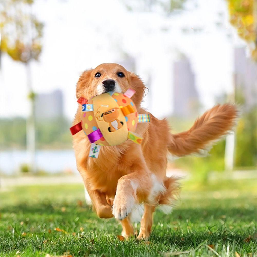Pet Supplies Plush Playing Molar Pet Interactive Ball Rattle Ball Toy Cleaning Teeth Toy
Pet Supplies Plush Playing Molar Pet Interactive Ball Rattle Ball Toy Cleaning Teeth Toy