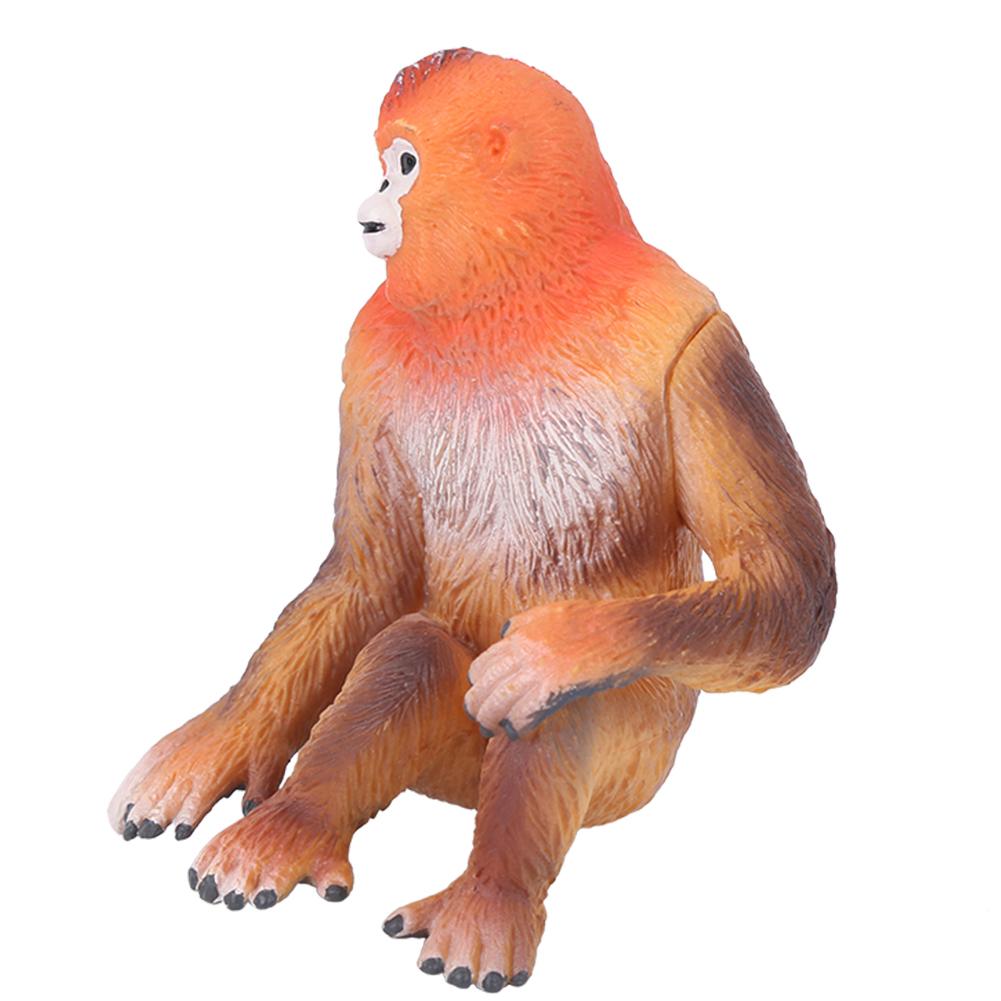 Simulation Wildlife Golden Monkey Model Ornaments Desktop Decoration Children ToyGolden Monkey Model
Simulation Wildlife Golden Monkey Model Ornaments Desktop Decoration Children ToyGolden Monkey Model