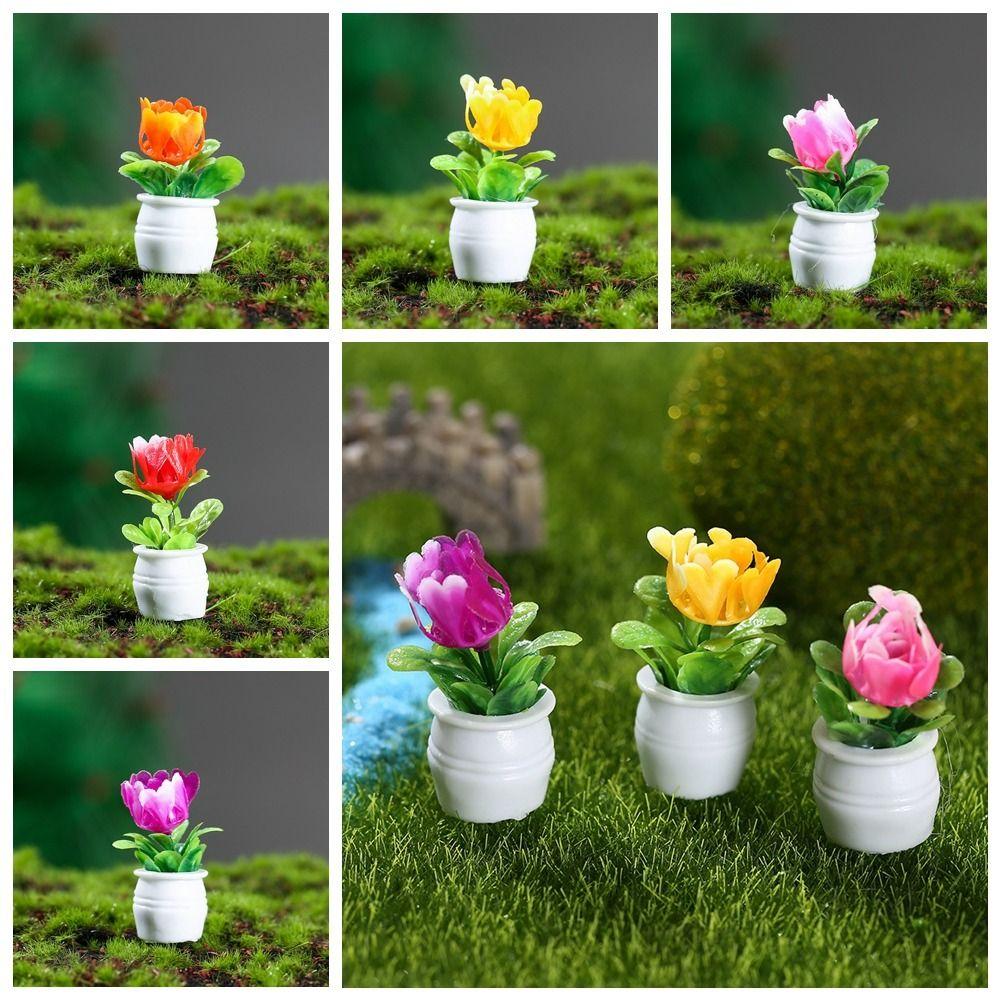 Not Easy Get Dusty Simulation Cactus Strong Leaves Plant Potted Mini Plant Model Micro Landscape
Not Easy Get Dusty Simulation Cactus Strong Leaves Plant Potted Mini Plant Model Micro Landscape