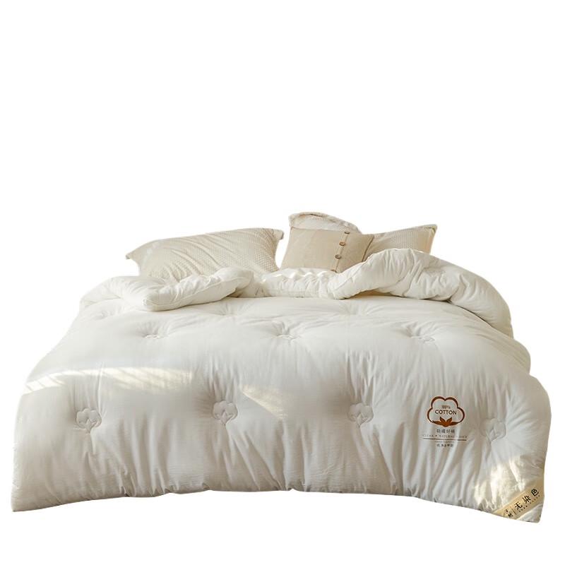 Fang Wang Quilt
Fang Wang Quilt