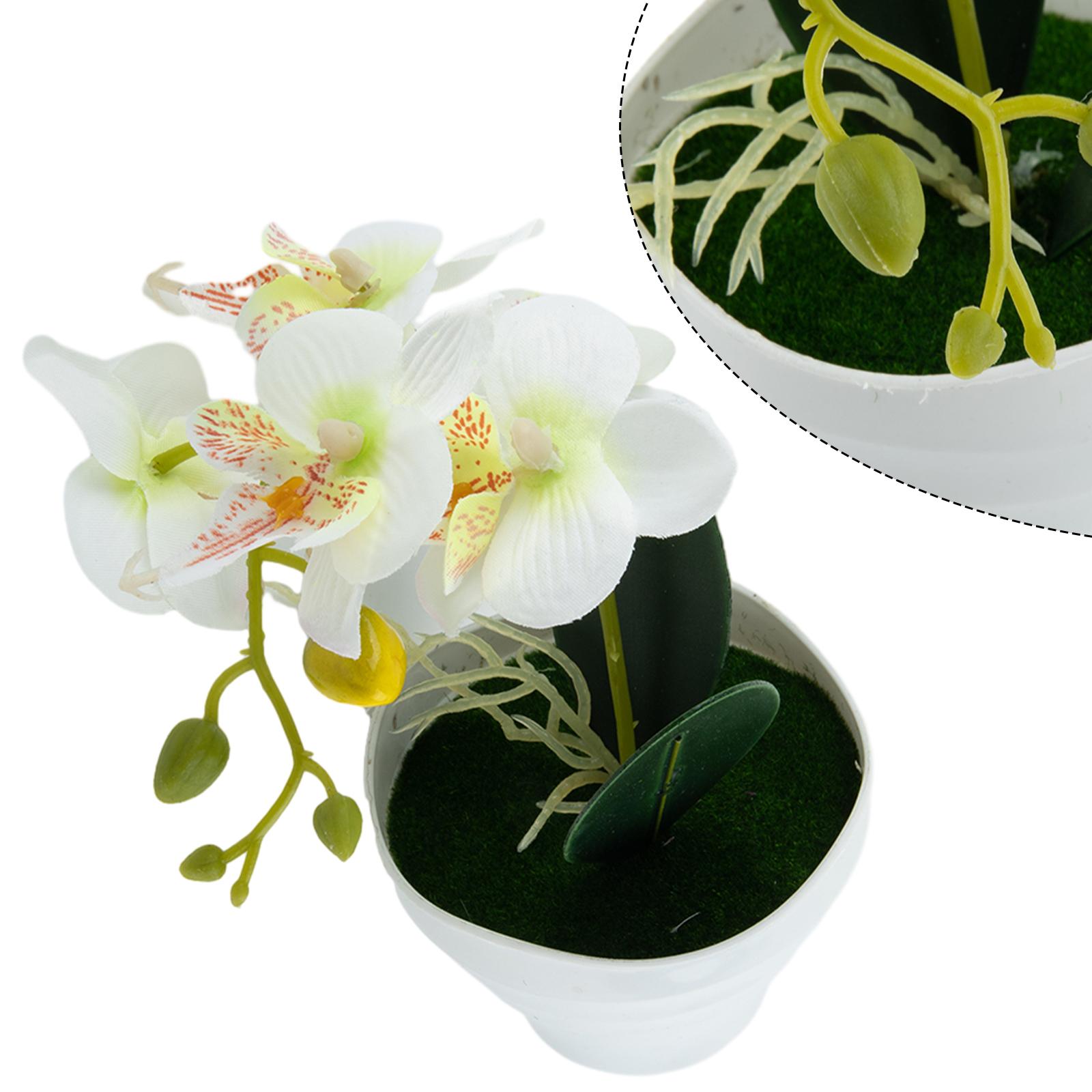 Realistic Artificial Orchid Plant for Wedding Cafe or Home Decoration
Realistic Artificial Orchid Plant for Wedding Cafe or Home Decoration