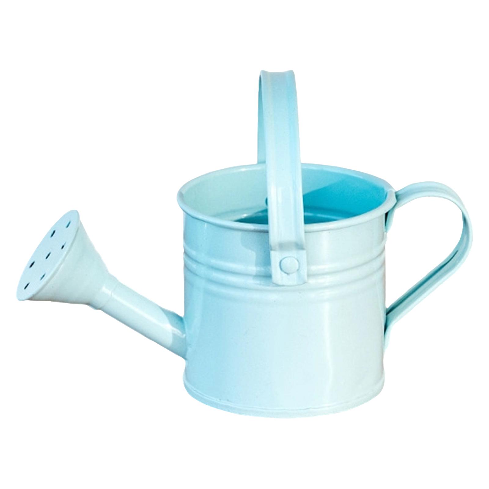 Small Watering Can for Plants with Ribbon Bow Decoration Garden Watering Tool for Indoor and Outdoor Use Durable Design One Size
Small Watering Can for Plants with Ribbon Bow Decoration Garden Watering Tool for Indoor and Outdoor Use Durable Design One Size