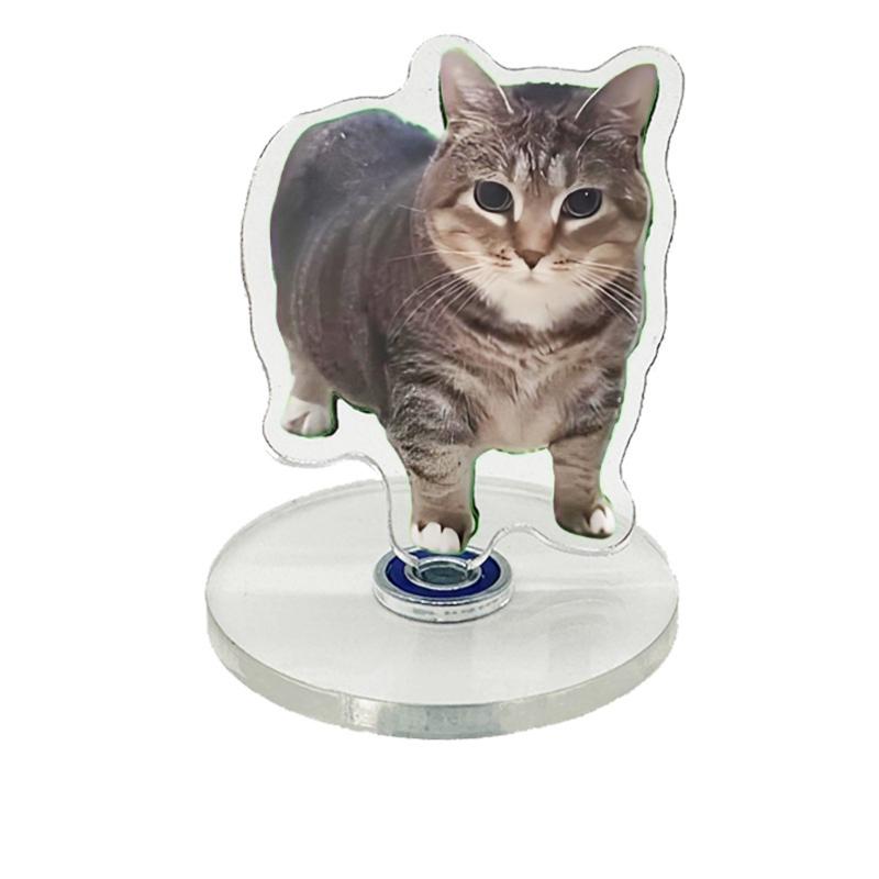 Automatic Rotating Cats Toy Acrylic Stand With Quiet Motor USB Charging Perfectly For Busy Pet Owners And Home Use 1
Automatic Rotating Cats Toy Acrylic Stand With Quiet Motor USB Charging Perfectly For Busy Pet Owners And Home Use 1